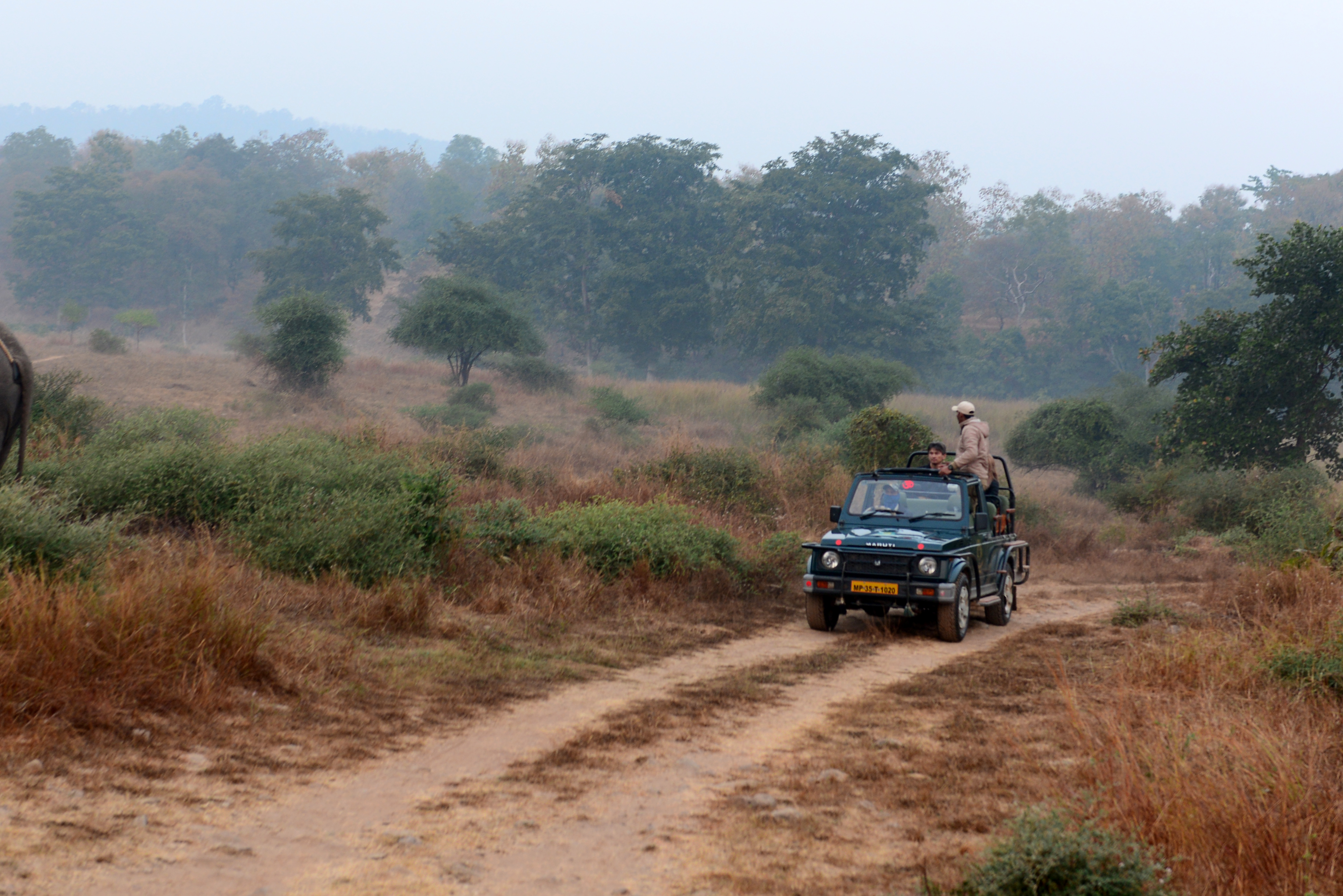 MPT Jungles Camp Madla, Panna